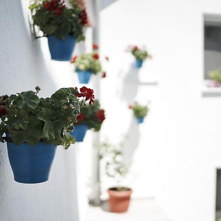 Pansion Rose Hotel Mostar Eksteriør billede