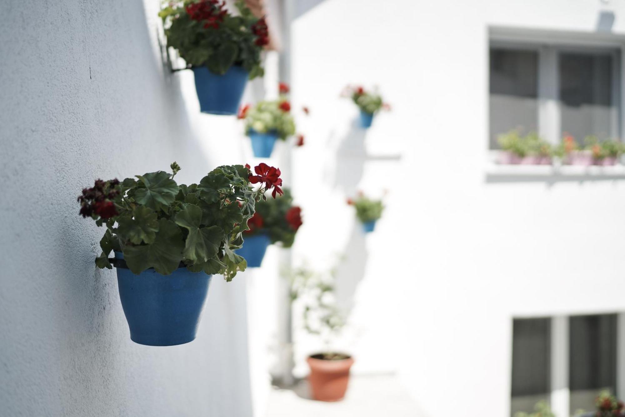 Pansion Rose Hotel Mostar Eksteriør billede