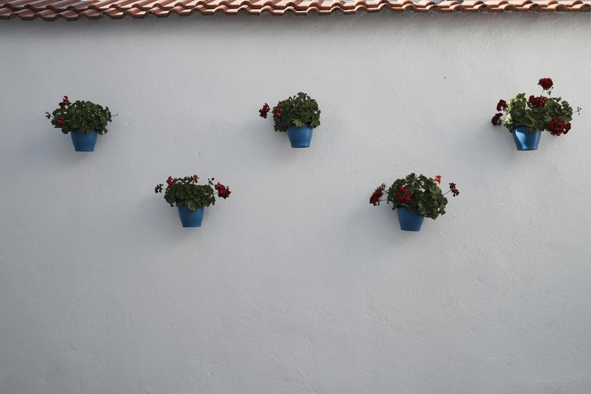 Pansion Rose Hotel Mostar Eksteriør billede