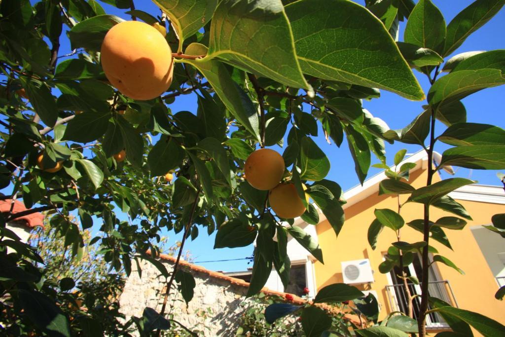 Pansion Rose Hotel Mostar Eksteriør billede